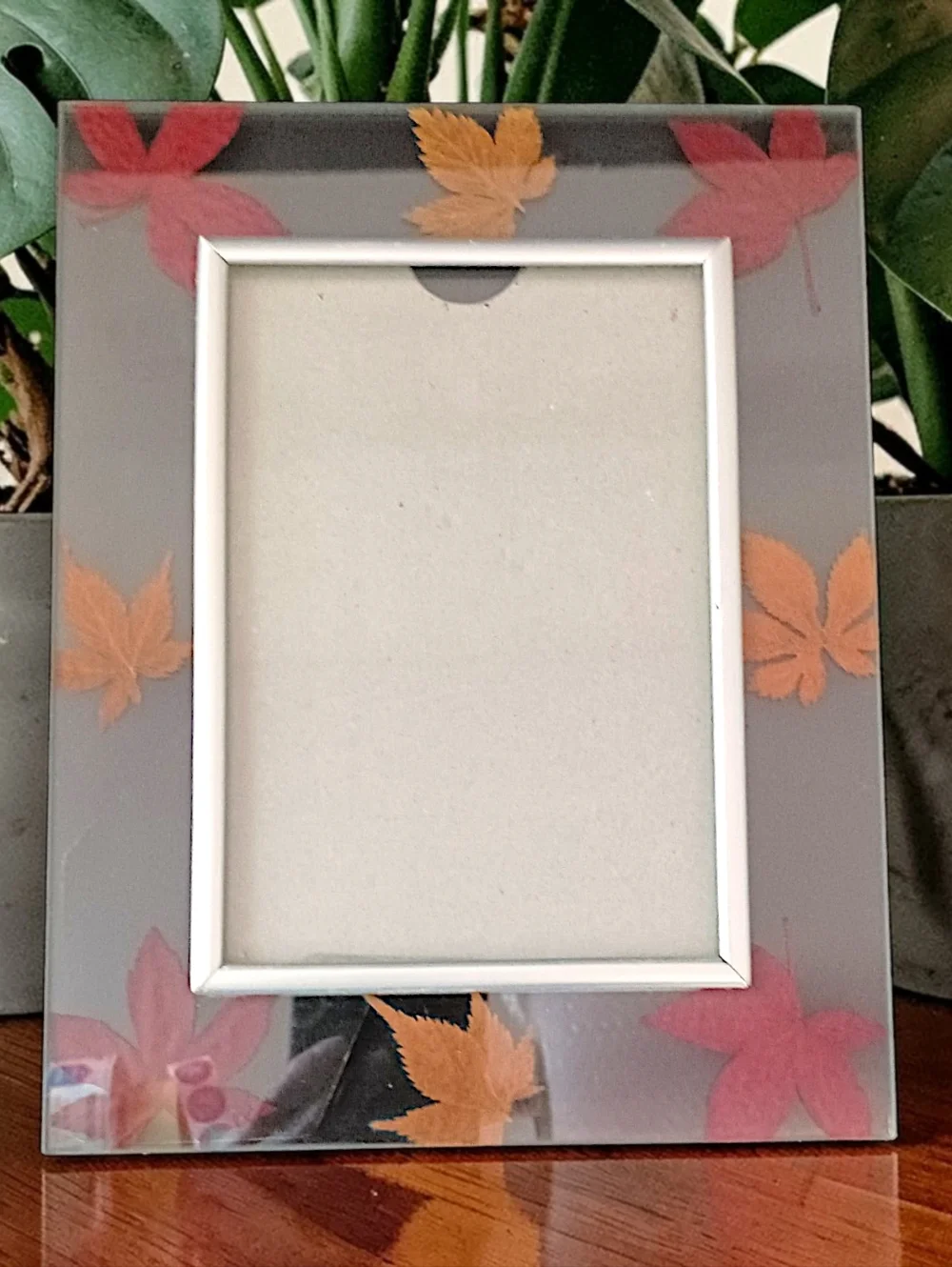 Vtg Dried Pressed Leaf Picture Photo Frame Lead Glass‎ Maple Leaves Farmhouse
